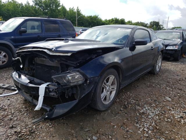 Photo 1 VIN: 1ZVBP8AM2D5259003 - FORD MUSTANG 