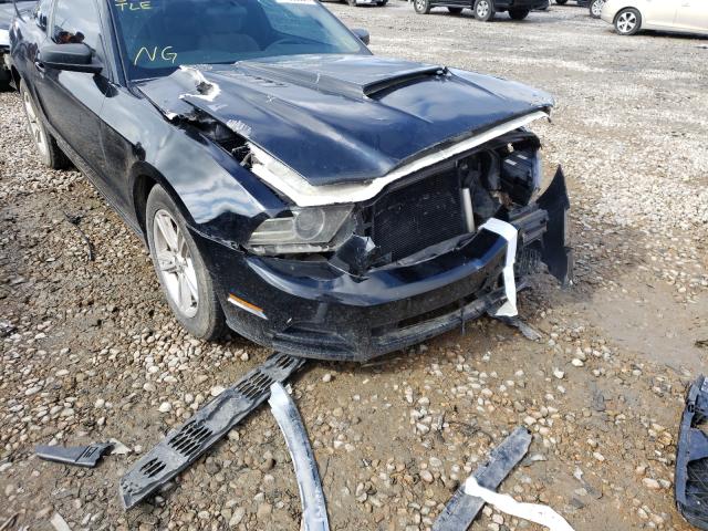 Photo 8 VIN: 1ZVBP8AM2D5259003 - FORD MUSTANG 