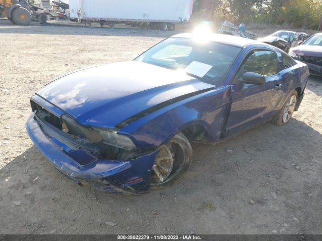 Photo 1 VIN: 1ZVBP8AM2D5271121 - FORD MUSTANG 