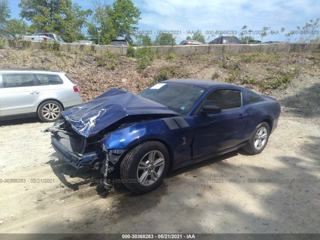 Photo 1 VIN: 1ZVBP8AM2E5206559 - FORD MUSTANG 