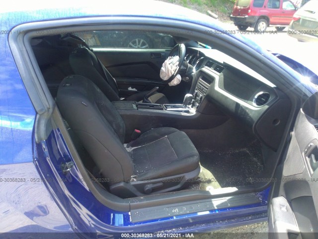 Photo 4 VIN: 1ZVBP8AM2E5206559 - FORD MUSTANG 