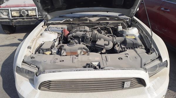 Photo 24 VIN: 1ZVBP8AM2E5232529 - FORD MUSTANG 