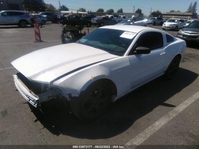 Photo 1 VIN: 1ZVBP8AM2E5250545 - FORD MUSTANG 