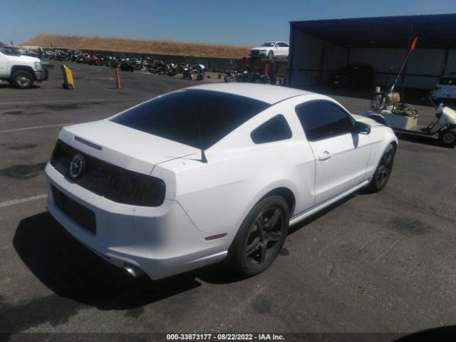 Photo 3 VIN: 1ZVBP8AM2E5250545 - FORD MUSTANG 