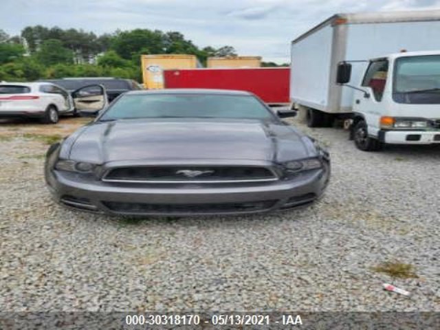 Photo 2 VIN: 1ZVBP8AM2E5251145 - FORD MUSTANG 