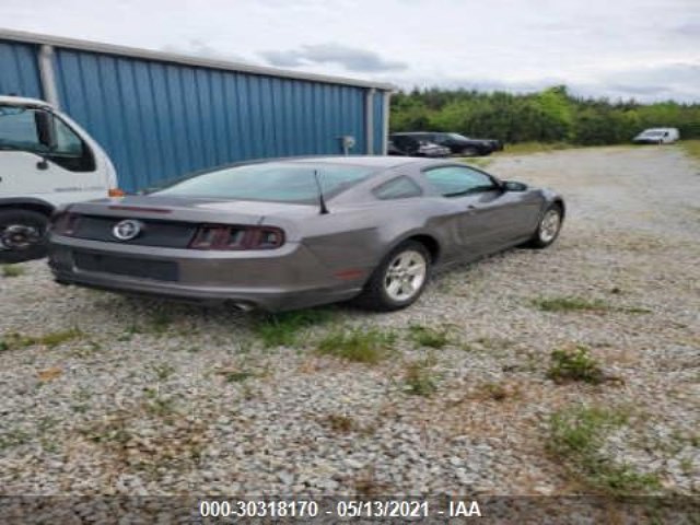 Photo 3 VIN: 1ZVBP8AM2E5251145 - FORD MUSTANG 