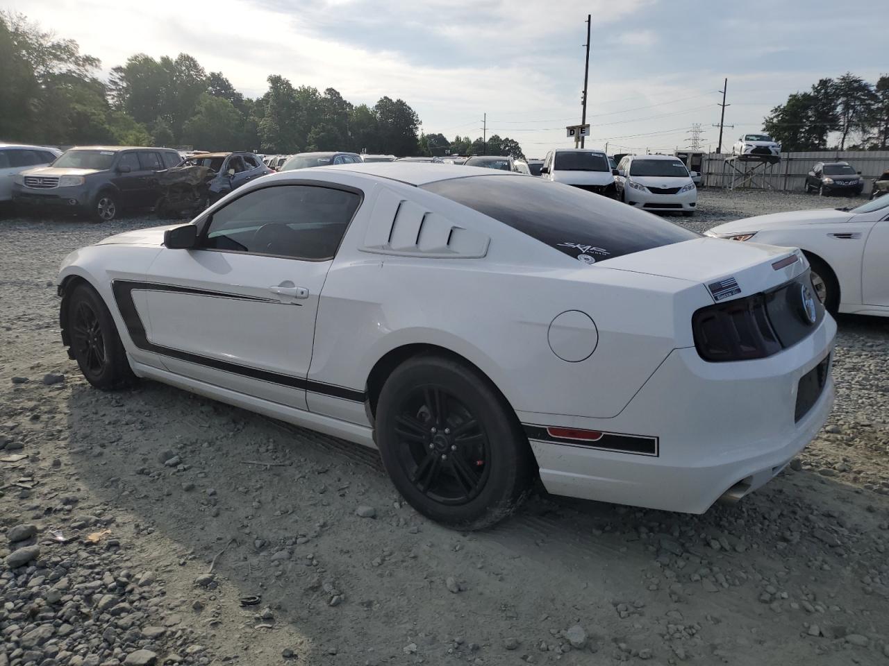 Photo 1 VIN: 1ZVBP8AM2E5276627 - FORD MUSTANG 