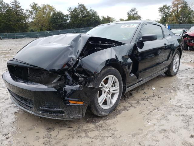 Photo 1 VIN: 1ZVBP8AM2E5282444 - FORD MUSTANG 