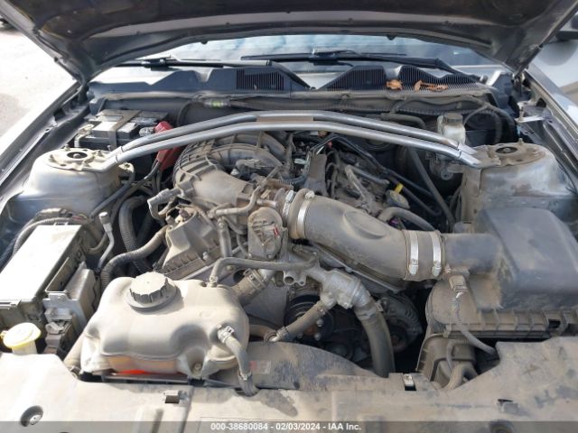 Photo 9 VIN: 1ZVBP8AM2E5288678 - FORD MUSTANG 