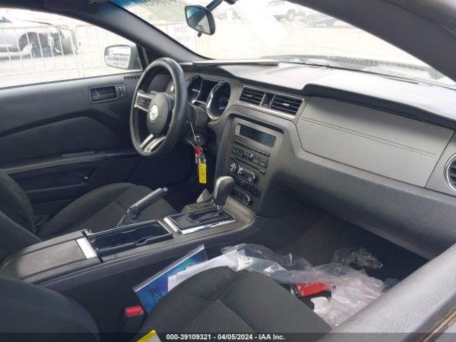 Photo 4 VIN: 1ZVBP8AM2E5294450 - FORD MUSTANG 