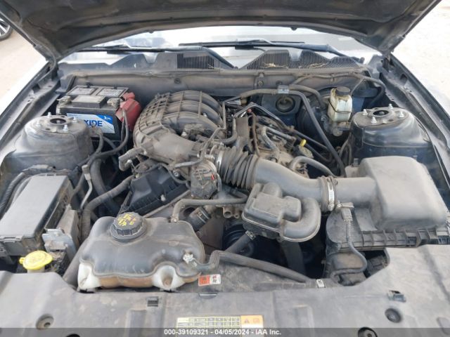 Photo 9 VIN: 1ZVBP8AM2E5294450 - FORD MUSTANG 