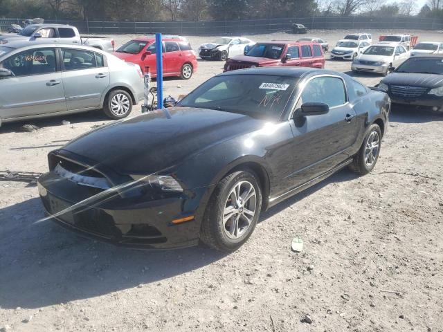 Photo 1 VIN: 1ZVBP8AM2E5300053 - FORD MUSTANG 