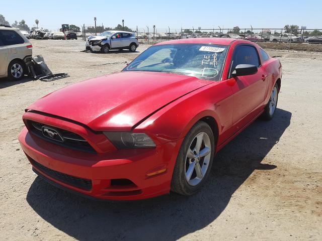 Photo 1 VIN: 1ZVBP8AM2E5300215 - FORD MUSTANG 