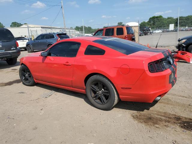 Photo 1 VIN: 1ZVBP8AM2E5313871 - FORD MUSTANG 