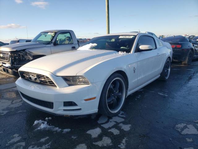 Photo 1 VIN: 1ZVBP8AM2E5315006 - FORD MUSTANG 