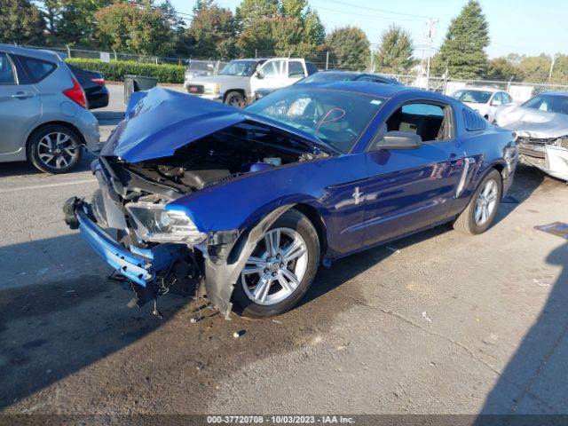 Photo 1 VIN: 1ZVBP8AM2E5325129 - FORD MUSTANG 