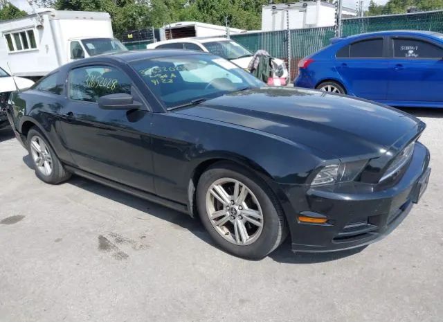 Photo 0 VIN: 1ZVBP8AM2E5331240 - FORD MUSTANG 