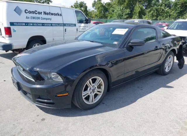 Photo 1 VIN: 1ZVBP8AM2E5331240 - FORD MUSTANG 