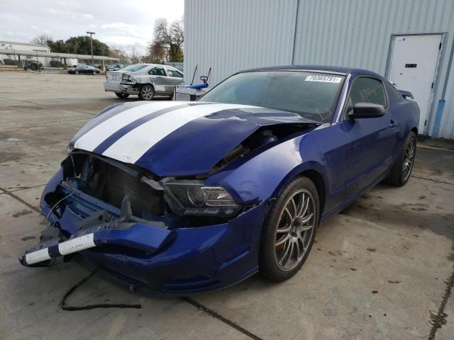 Photo 1 VIN: 1ZVBP8AM2E5333781 - FORD MUSTANG 