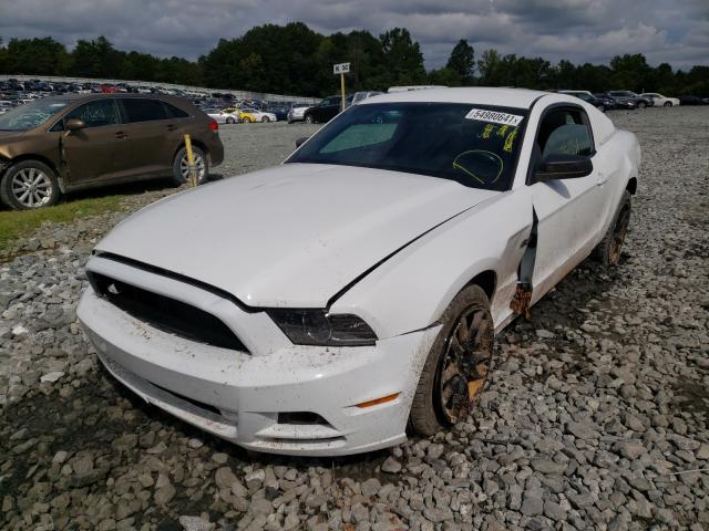 Photo 1 VIN: 1ZVBP8AM2E5334168 - FORD MUSTANG 