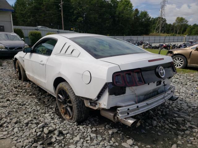 Photo 2 VIN: 1ZVBP8AM2E5334168 - FORD MUSTANG 