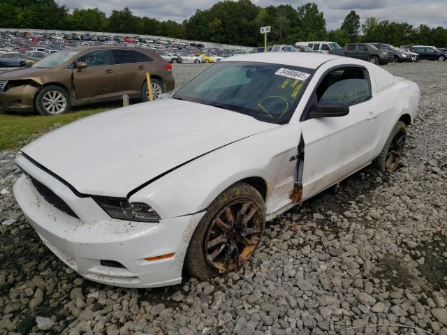 Photo 8 VIN: 1ZVBP8AM2E5334168 - FORD MUSTANG 