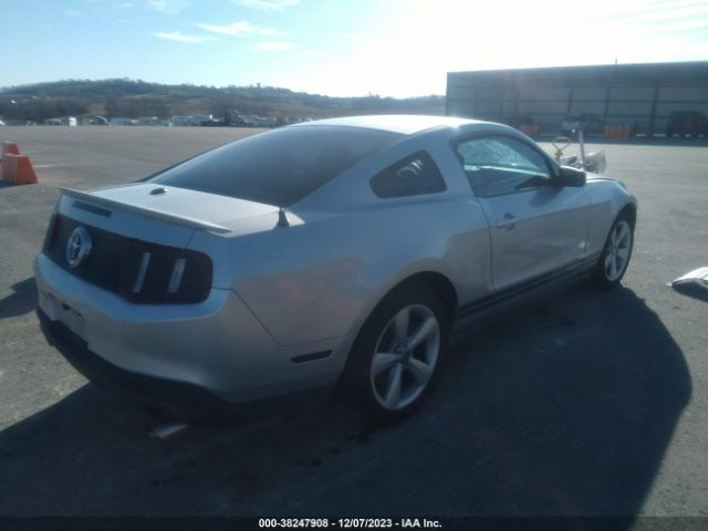 Photo 3 VIN: 1ZVBP8AM3B5111570 - FORD MUSTANG 