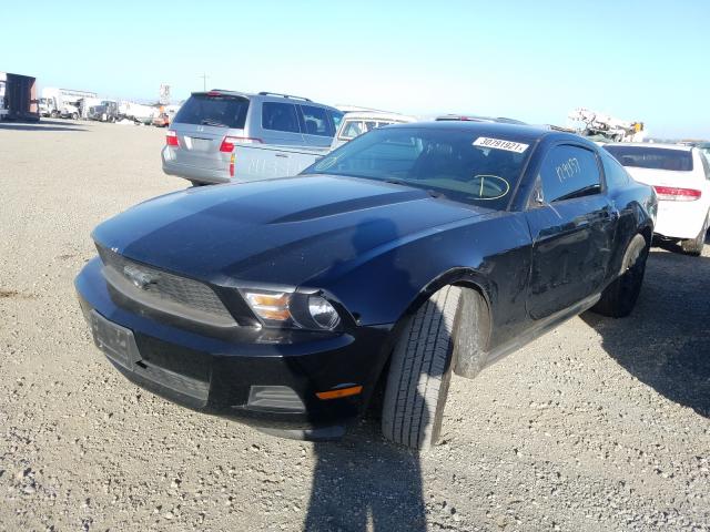 Photo 1 VIN: 1ZVBP8AM3B5132015 - FORD MUSTANG 