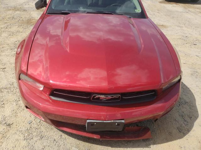 Photo 10 VIN: 1ZVBP8AM3B5135805 - FORD MUSTANG 