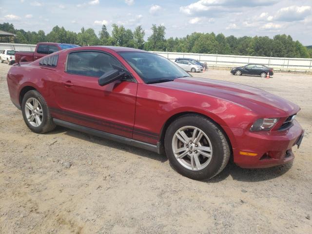 Photo 3 VIN: 1ZVBP8AM3B5135805 - FORD MUSTANG 