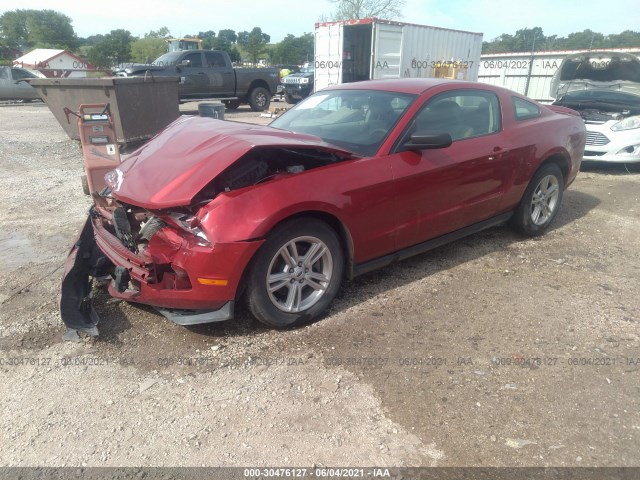 Photo 1 VIN: 1ZVBP8AM3B5138042 - FORD MUSTANG 