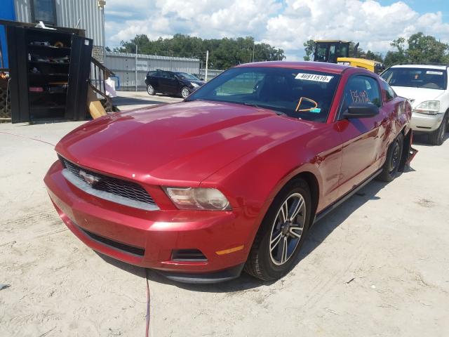 Photo 1 VIN: 1ZVBP8AM3B5165919 - FORD MUSTANG 