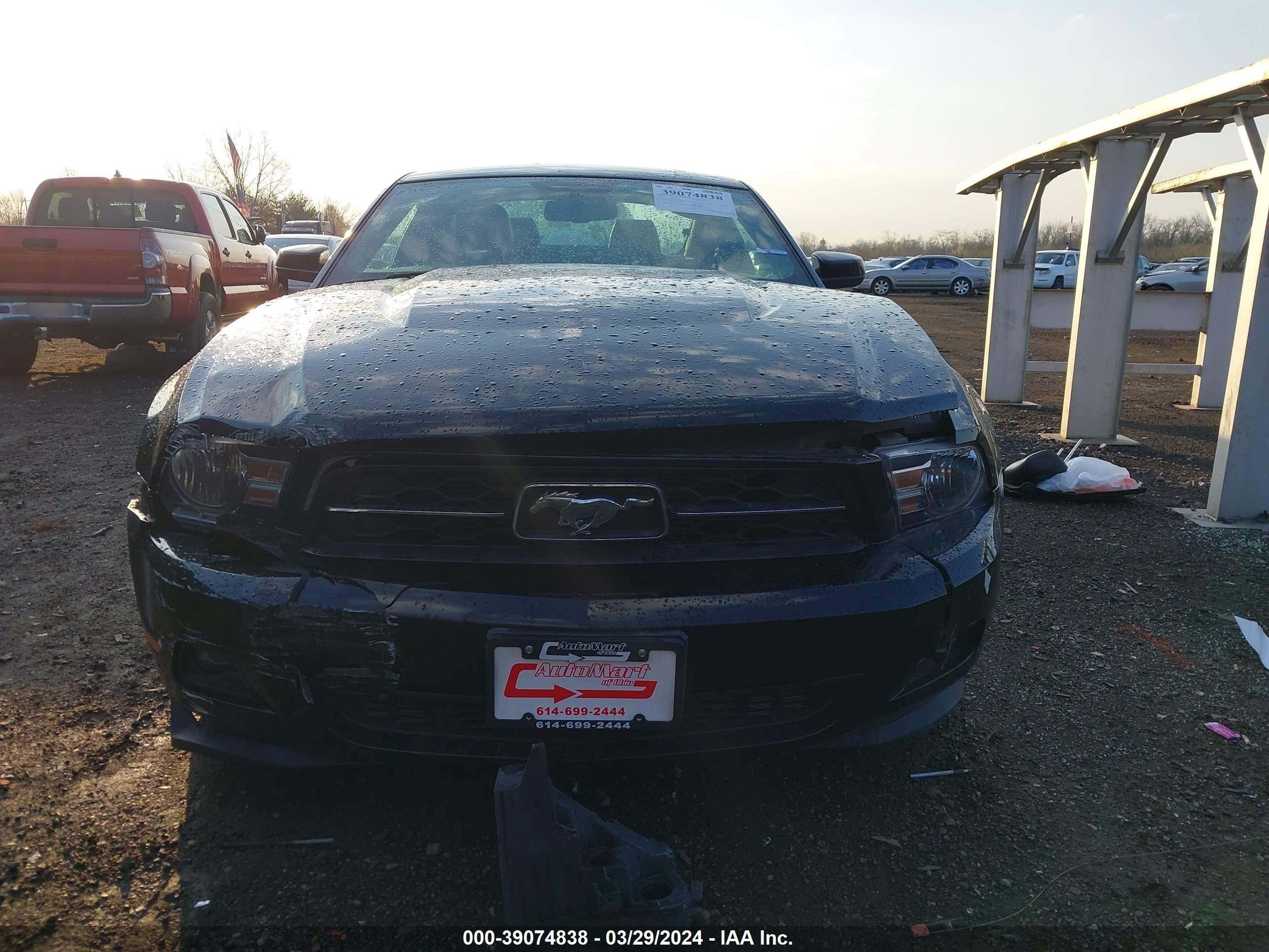 Photo 11 VIN: 1ZVBP8AM3C5209337 - FORD MUSTANG 