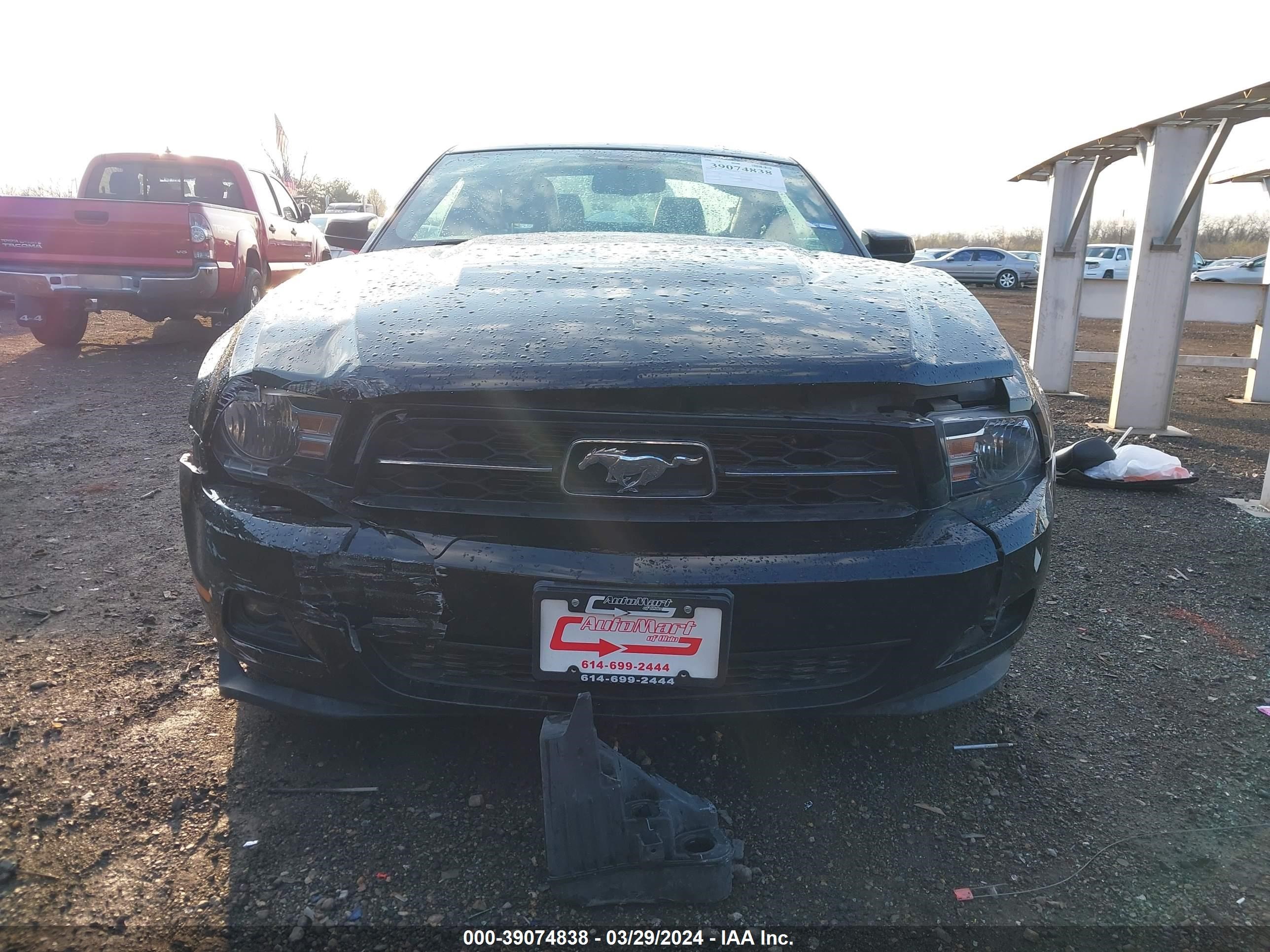 Photo 5 VIN: 1ZVBP8AM3C5209337 - FORD MUSTANG 