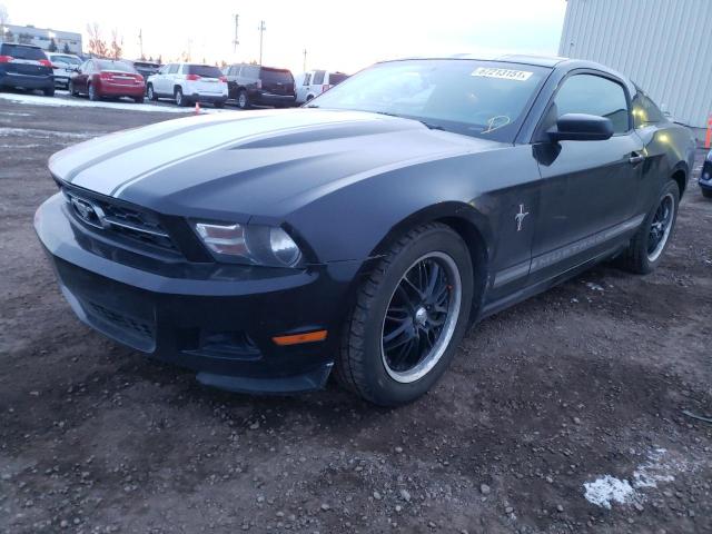 Photo 1 VIN: 1ZVBP8AM3C5213159 - FORD MUSTANG 