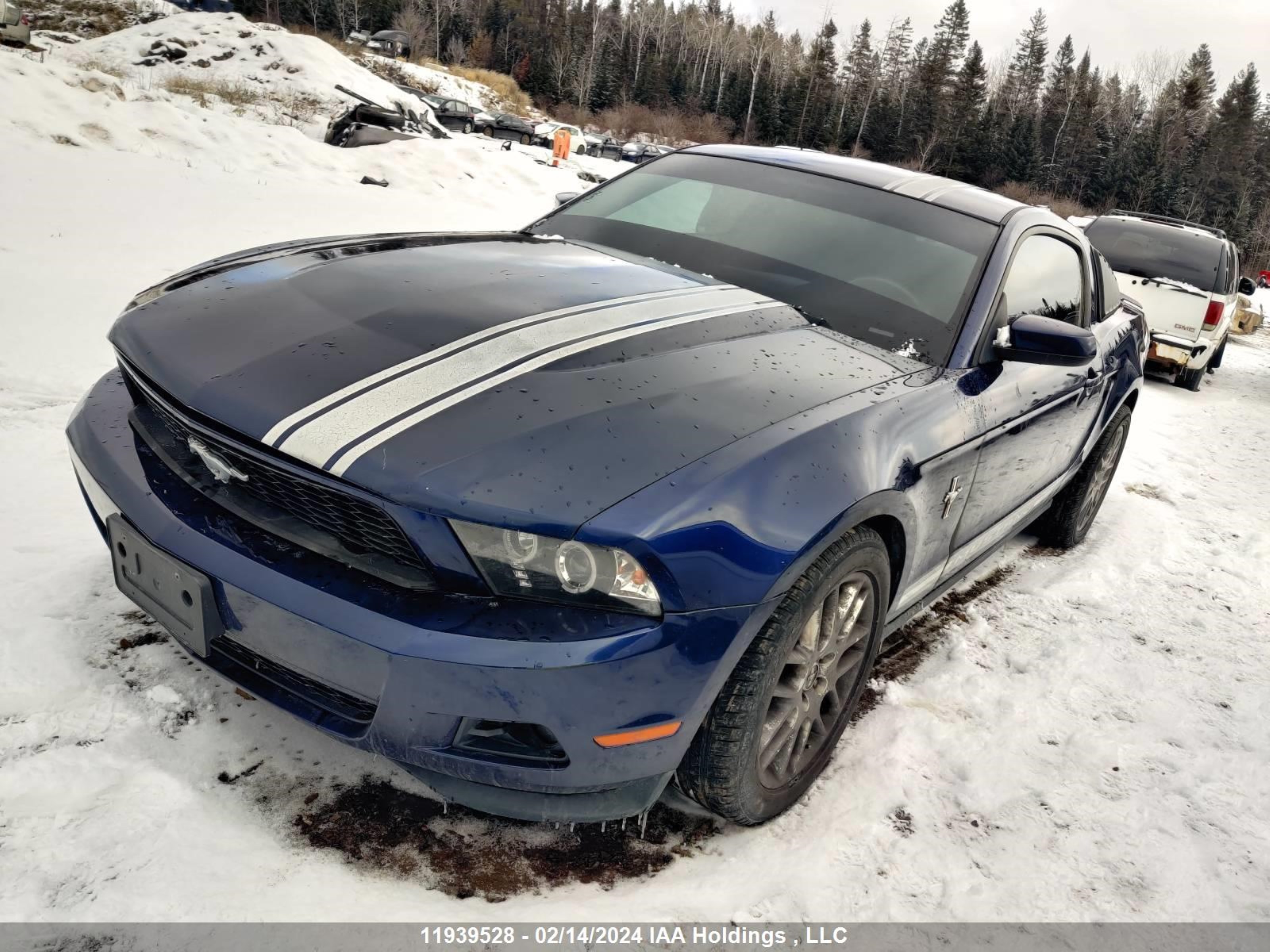 Photo 2 VIN: 1ZVBP8AM3C5217566 - FORD MUSTANG 