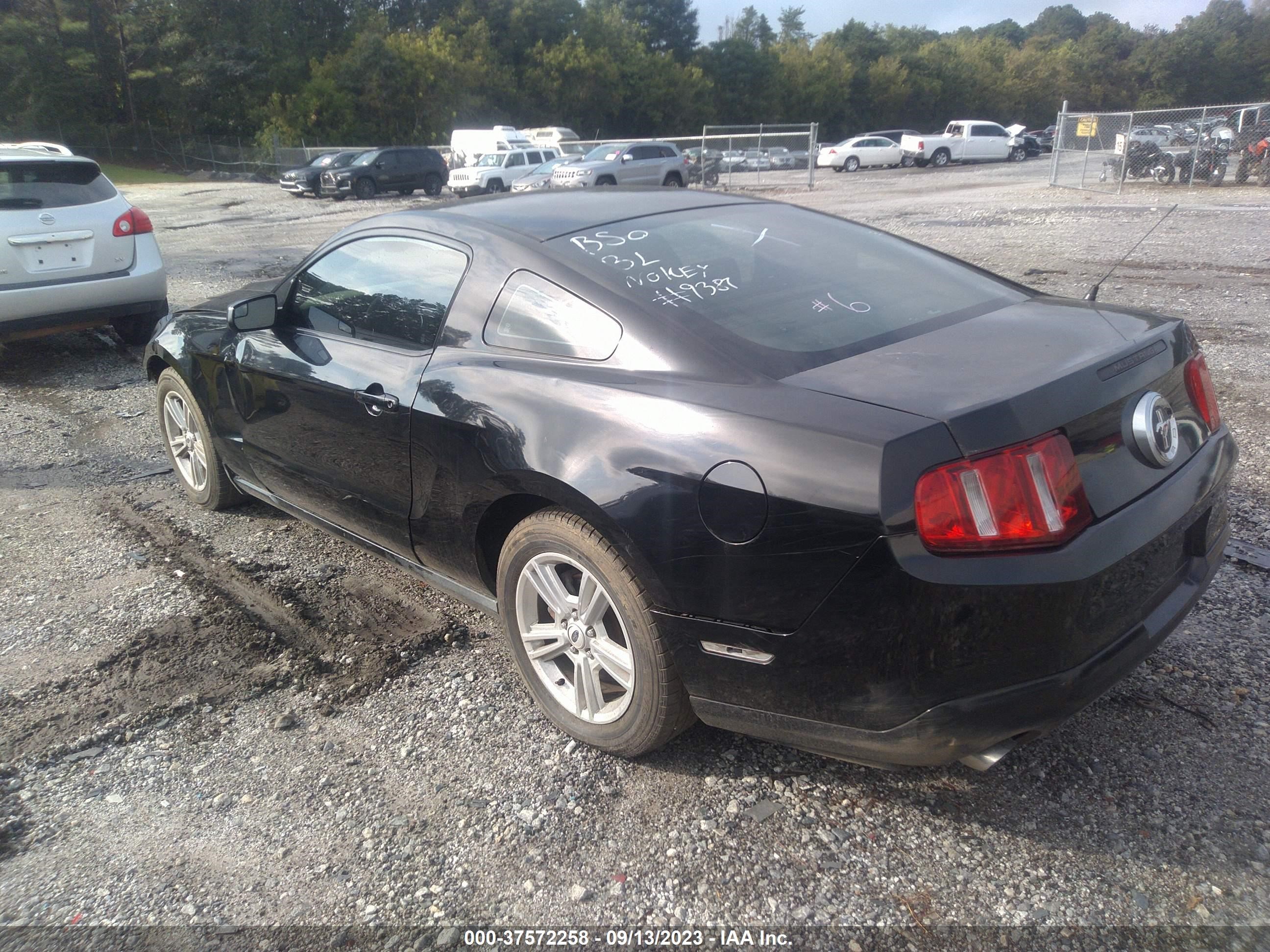 Photo 2 VIN: 1ZVBP8AM3C5239387 - FORD MUSTANG 