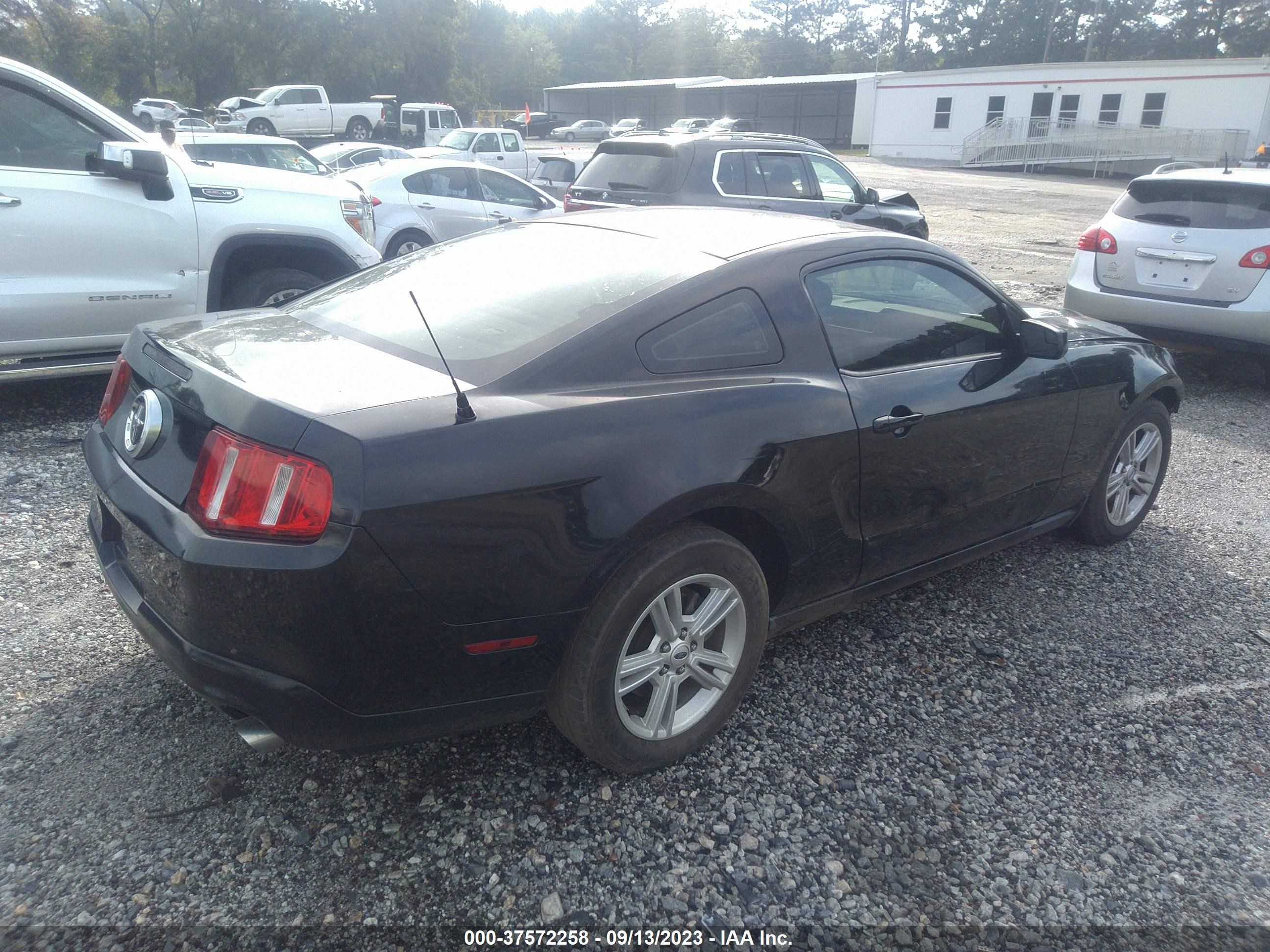 Photo 3 VIN: 1ZVBP8AM3C5239387 - FORD MUSTANG 