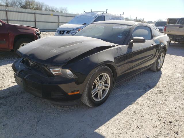 Photo 1 VIN: 1ZVBP8AM3C5256240 - FORD MUSTANG 