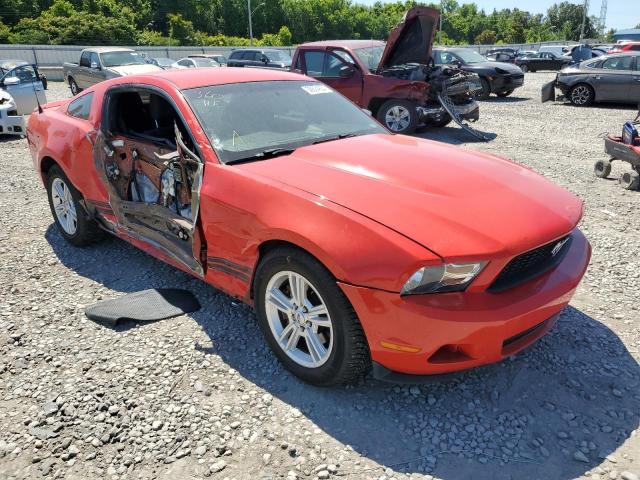 Photo 3 VIN: 1ZVBP8AM3C5264368 - FORD MUSTANG 