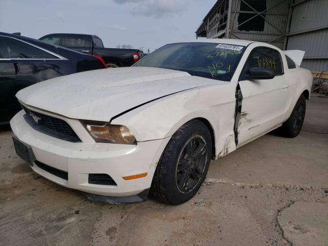 Photo 1 VIN: 1ZVBP8AM3C5272812 - FORD MUSTANG 