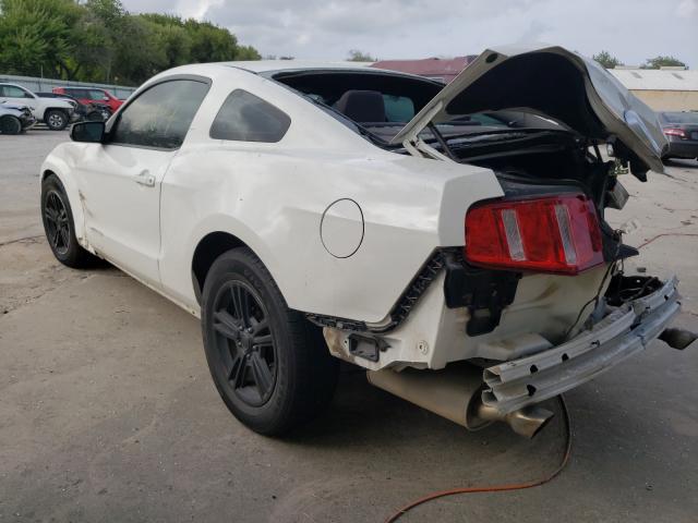 Photo 2 VIN: 1ZVBP8AM3C5272812 - FORD MUSTANG 