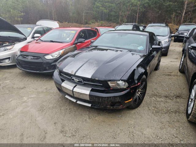 Photo 1 VIN: 1ZVBP8AM3C5281316 - FORD MUSTANG 