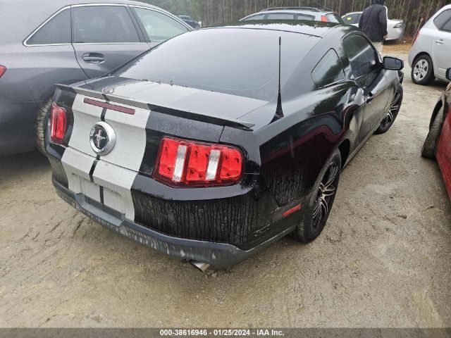 Photo 3 VIN: 1ZVBP8AM3C5281316 - FORD MUSTANG 