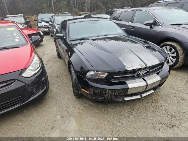 Photo 5 VIN: 1ZVBP8AM3C5281316 - FORD MUSTANG 