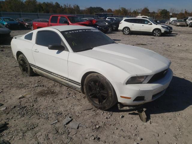 Photo 0 VIN: 1ZVBP8AM3C5283597 - FORD MUSTANG 