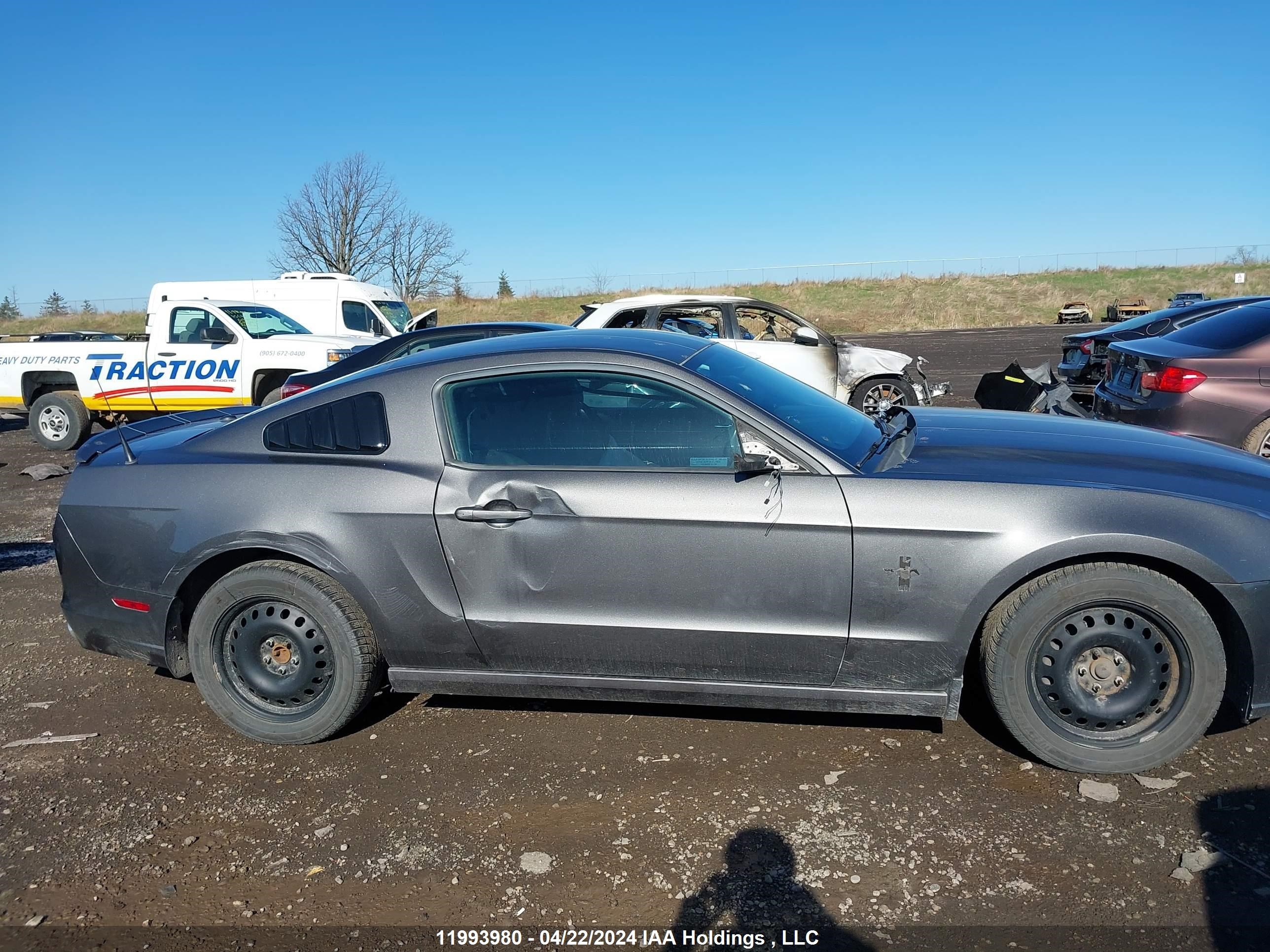 Photo 13 VIN: 1ZVBP8AM3D5214698 - FORD MUSTANG 