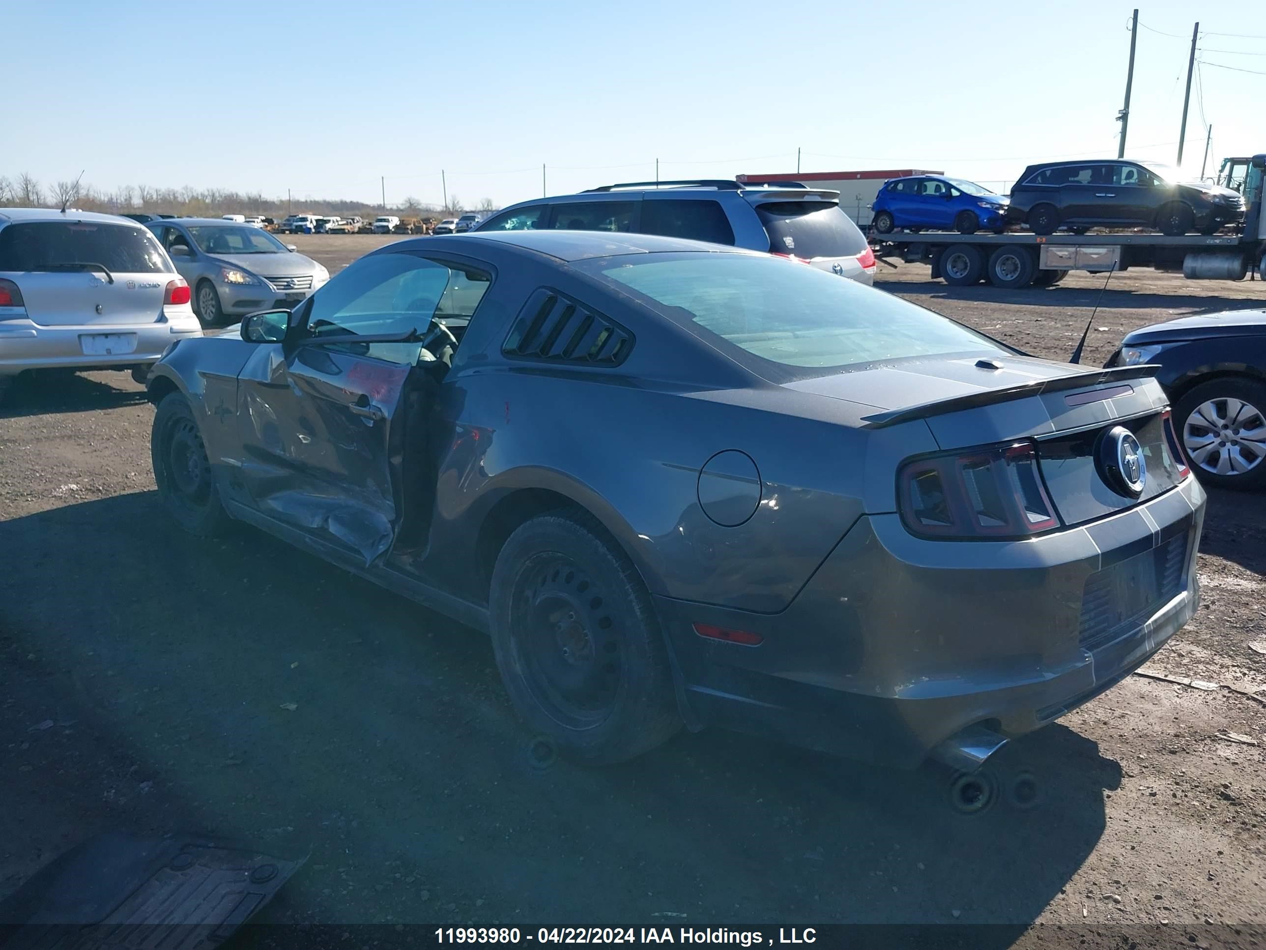 Photo 2 VIN: 1ZVBP8AM3D5214698 - FORD MUSTANG 