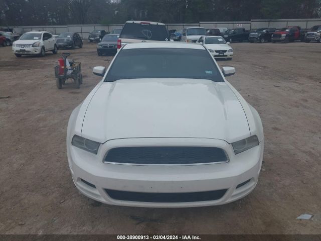 Photo 5 VIN: 1ZVBP8AM3D5230108 - FORD MUSTANG 