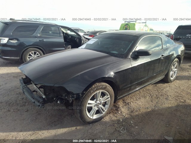 Photo 1 VIN: 1ZVBP8AM3D5239018 - FORD MUSTANG 